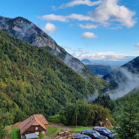 Mosorel Bed & Breakfast Măgura Екстериор снимка