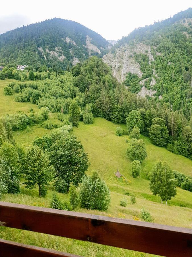 Mosorel Măgura Екстериор снимка