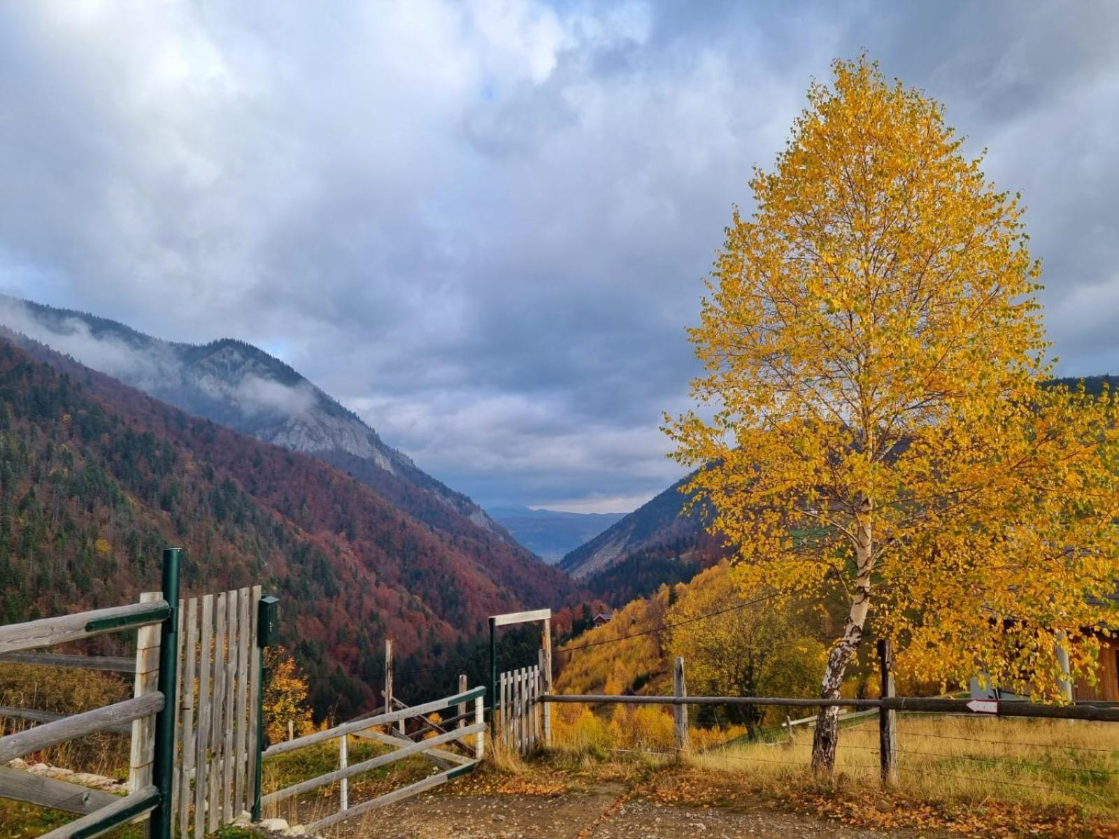 Mosorel Bed & Breakfast Măgura Екстериор снимка