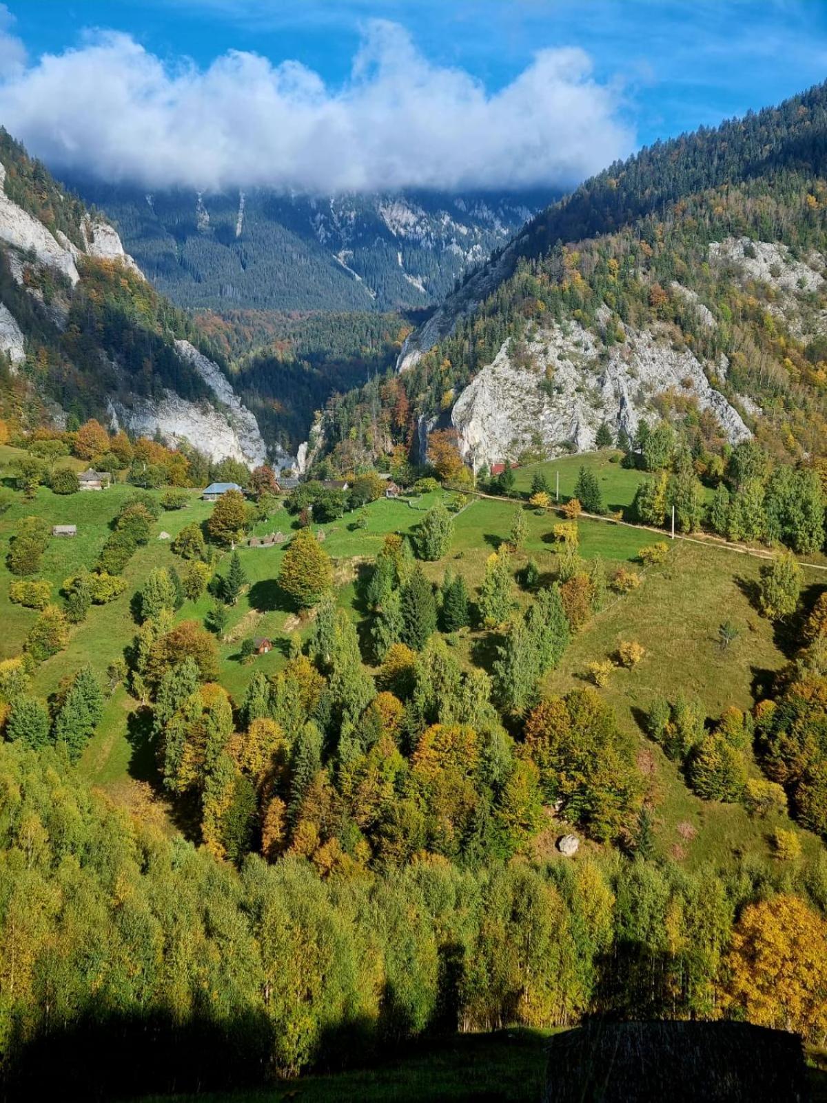 Mosorel Măgura Екстериор снимка