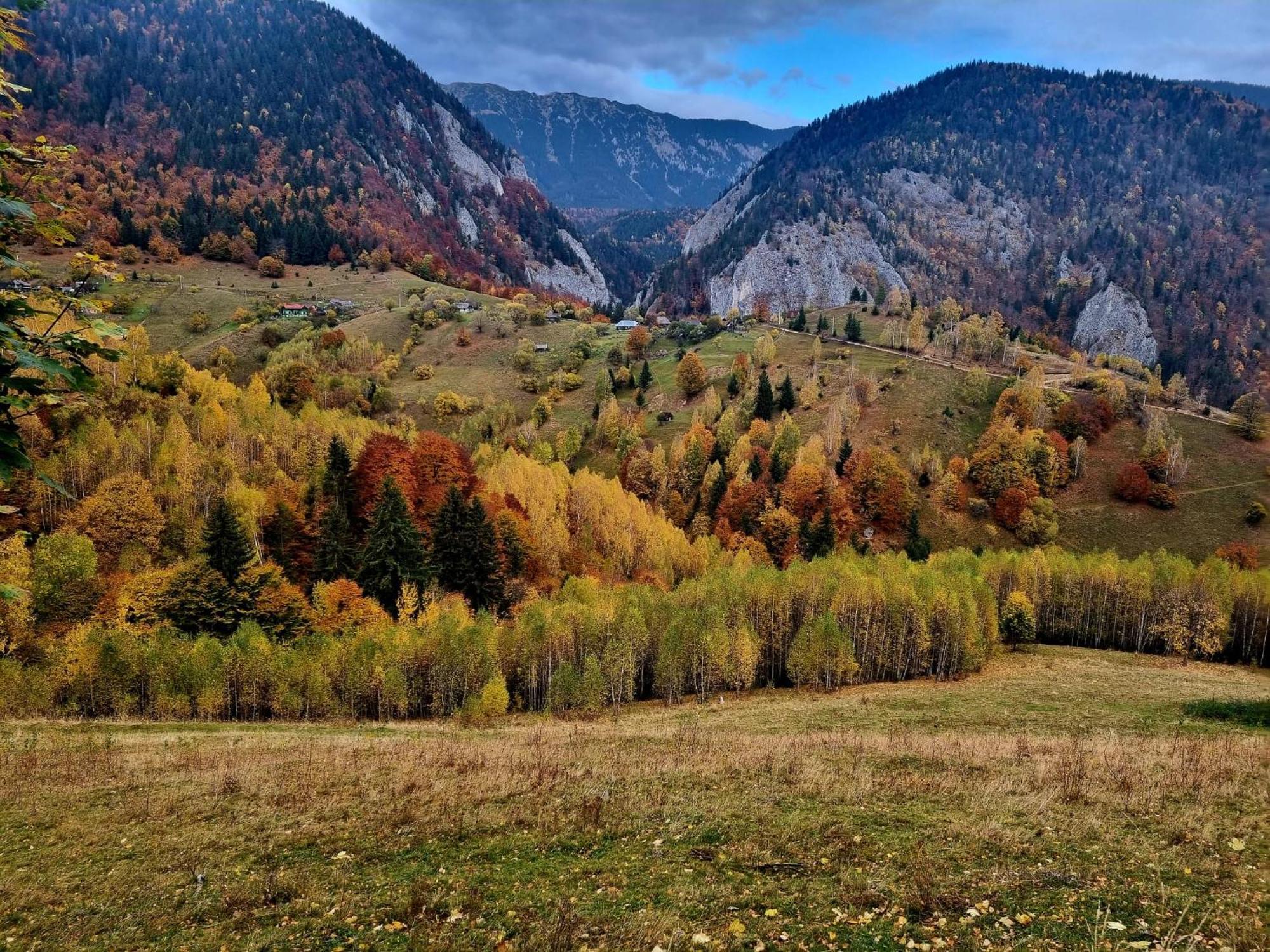 Mosorel Bed & Breakfast Măgura Екстериор снимка