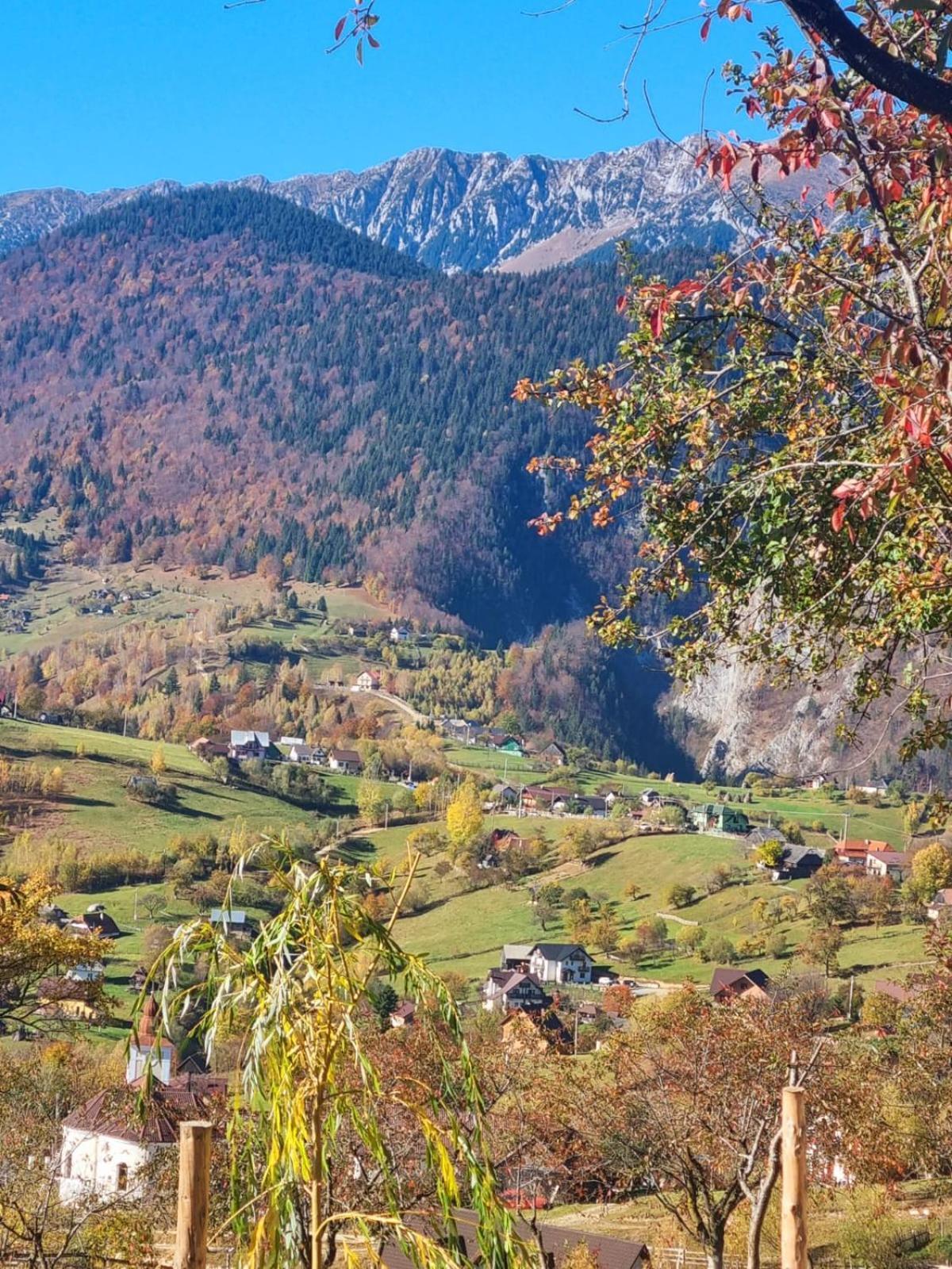 Mosorel Măgura Екстериор снимка