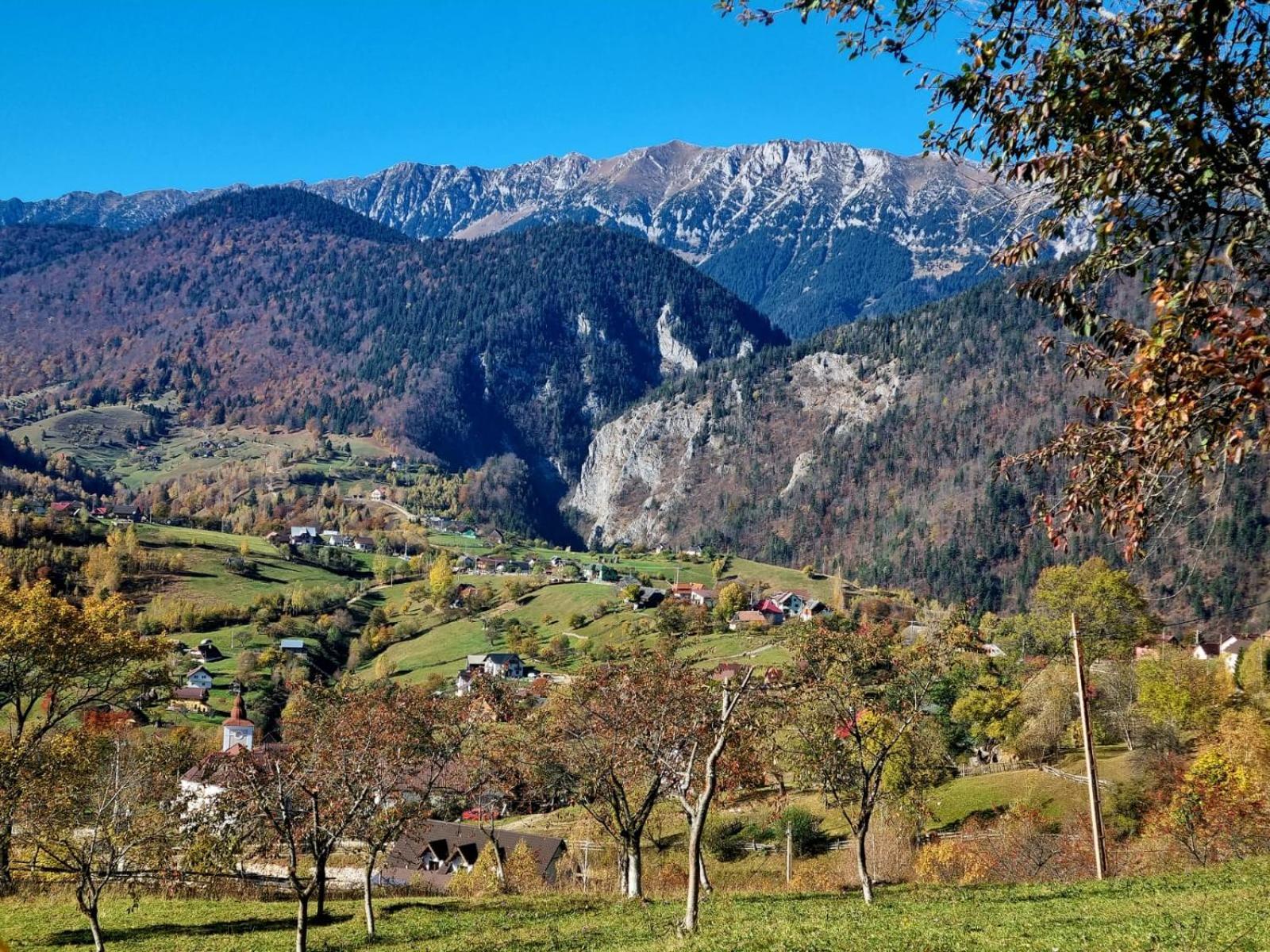 Mosorel Măgura Екстериор снимка