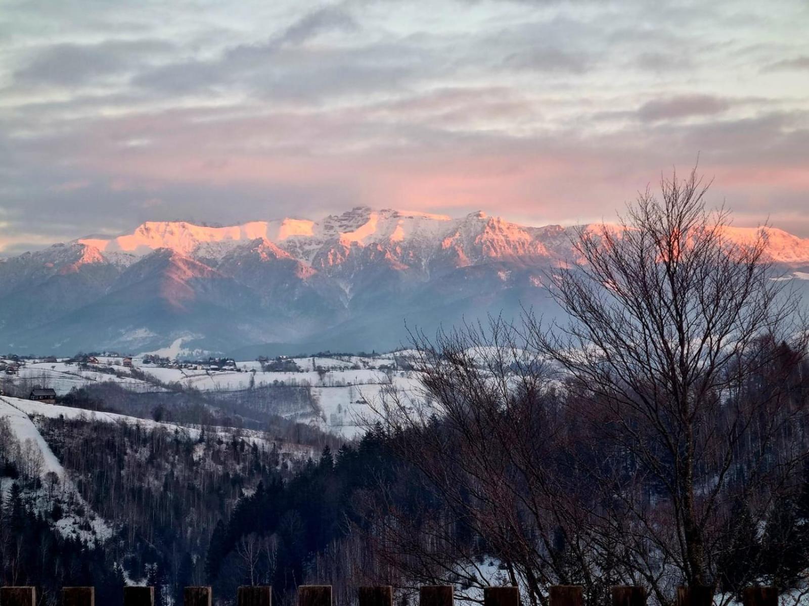 Mosorel Bed & Breakfast Măgura Екстериор снимка