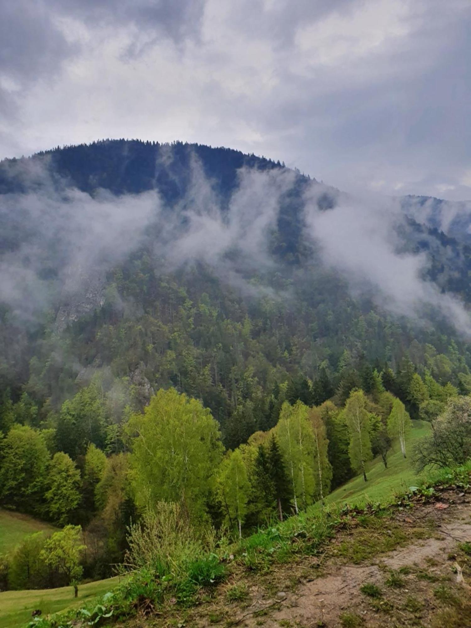 Mosorel Bed & Breakfast Măgura Екстериор снимка